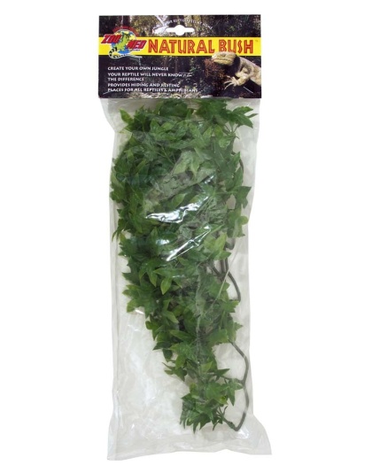 Zoo Med Natural Bush Congo Ivy Plants Green 1ea/18 in, MD