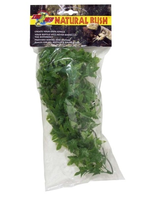 Zoo Med Natural Bush Congo Ivy Plants Green 1ea/14 in, SM