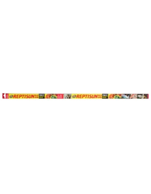 Zoo Med ReptiSun 10.0 UVB T8 Fluorescent Lamp White 1ea/24 in