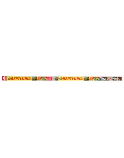 Zoo Med ReptiSun 10.0 UVB T8 Fluorescent Lamp White 1ea/24 in