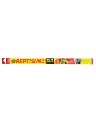 Zoo Med ReptiSun 10.0 UVB T8 Fluorescent Lamp White 1ea/18 in