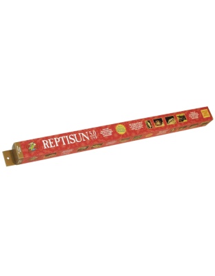 Zoo Med ReptiSun 5.0 UVB T8 Fluorescent Lamp White 1ea/24 in