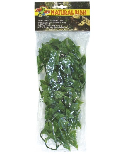 Zoo Med Natural Bush Mexican Phyllo Plants Green 1ea/18 in, MD