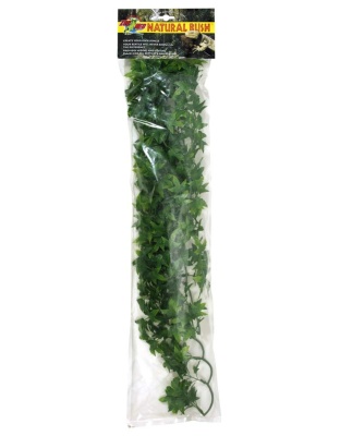 Zoo Med Natural Bush Congo Ivy Plants Green 1ea/22 in, LG