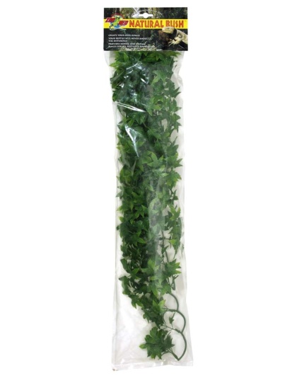 Zoo Med Natural Bush Congo Ivy Plants Green 1ea/22 in, LG