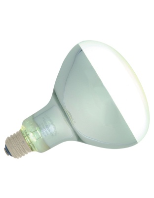 Zoo Med PowerSun UV Self-Ballasted Mercury Vapor Lamp Silver 1ea/160 W