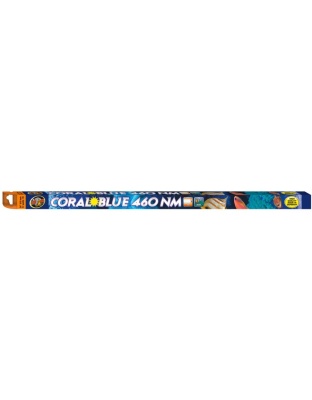 Zoo Med Coral Blue 460 NM T8 Lamp Blue 1ea/24 in