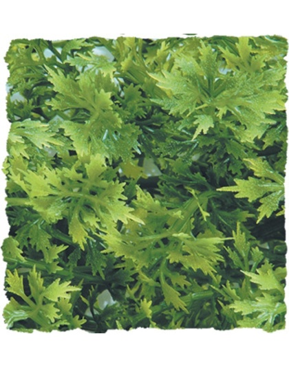 Zoo Med Natural Bush Australian Maple Plants Green 1ea/14 in, SM